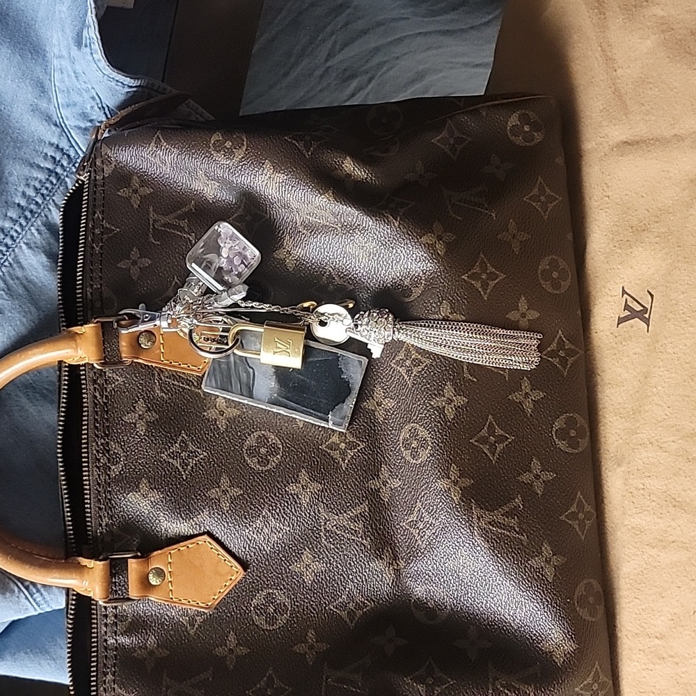 Louis Vuitton - Picture 15 of 17